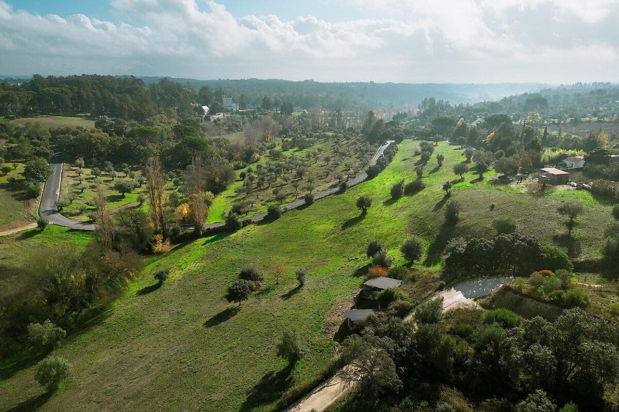 QUINTA DE INVESTIMENTO PREMIUM EM TORRES NOVAS