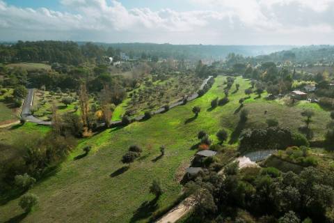QUINTA DE INVESTIMENTO PREMIUM EM TORRES NOVAS