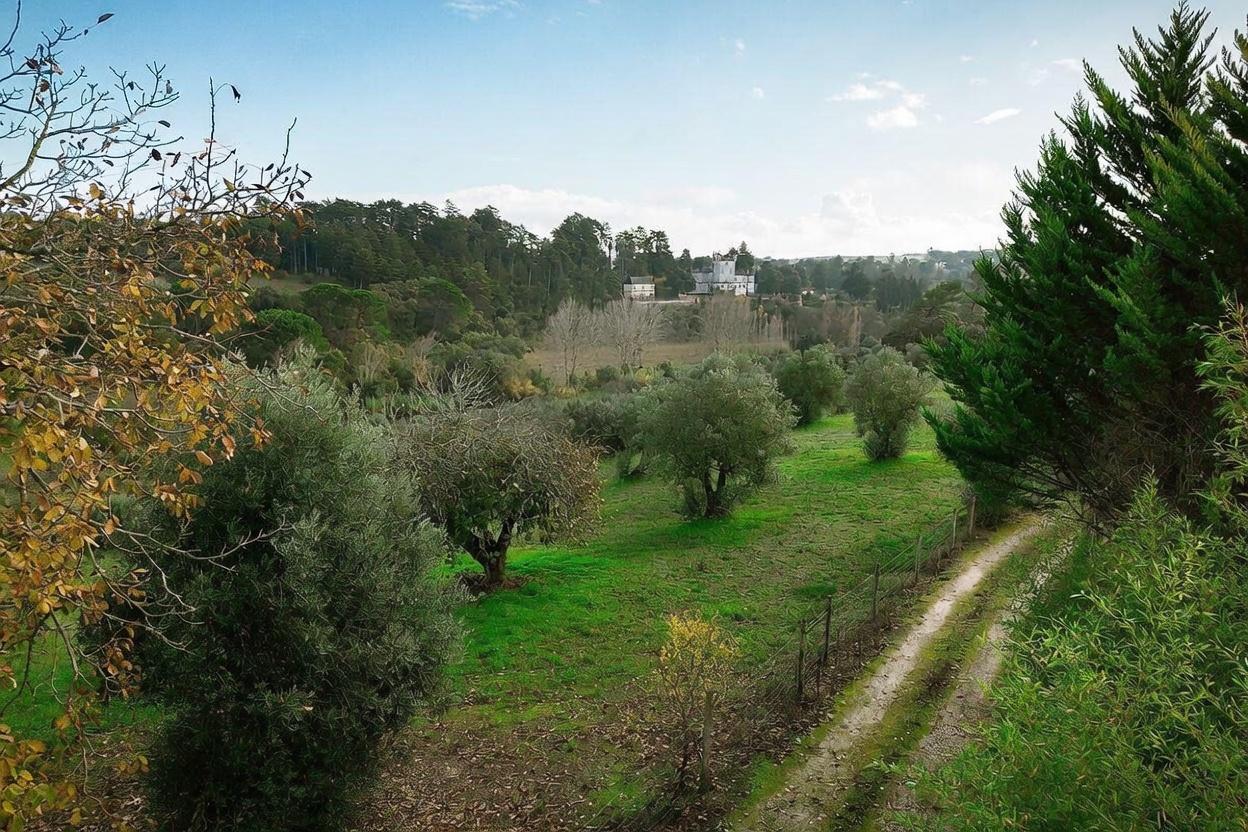 QUINTA DE INVESTIMENTO PREMIUM EM TORRES NOVAS