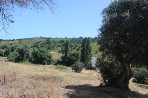 QUINTA DE INVESTIMENTO PREMIUM EM TORRES NOVAS