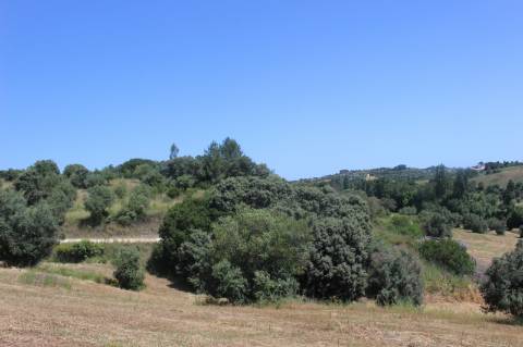 QUINTA DE INVESTIMENTO PREMIUM EM TORRES NOVAS