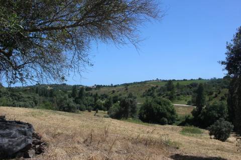 QUINTA DE INVESTIMENTO PREMIUM EM TORRES NOVAS