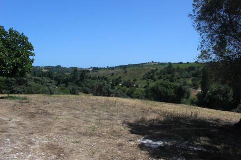 QUINTA DE INVESTIMENTO PREMIUM EM TORRES NOVAS