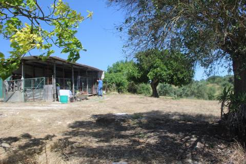 QUINTA DE INVESTIMENTO PREMIUM EM TORRES NOVAS