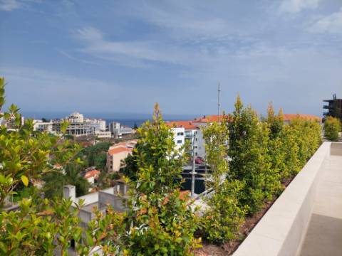 Apartamento T2 - Quintinha da Fé