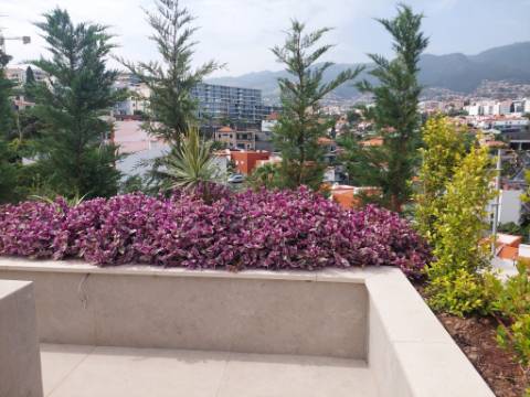 Apartamento T2 - Quintinha da Fé