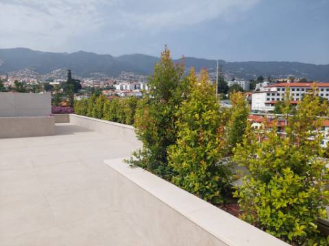 Apartamento T2 - Quintinha da Fé