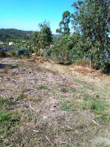 Terreno construão
