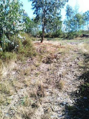 Terreno construão