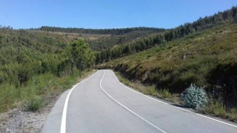 Terreno Florestal