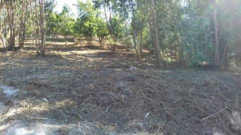 Terreno para Construção