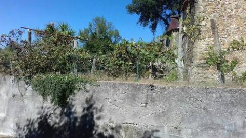 Casa para Restauro
