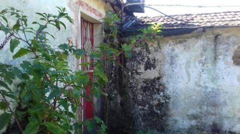 Casa para Restauro