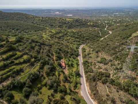 ESTOI - Terreno com vista mar e ruína