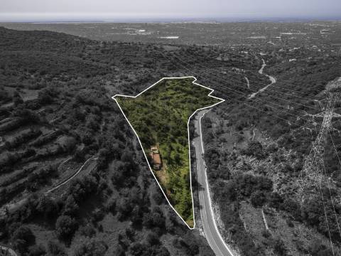ESTOI - Terreno com vista mar e ruína