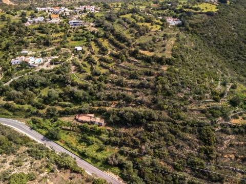 ESTOI - Terreno com vista mar e ruína