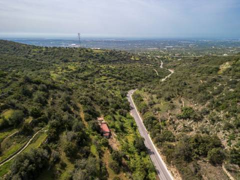 ESTOI - Terreno com vista mar e ruína