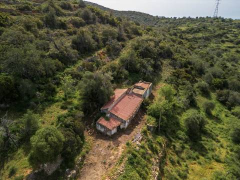 ESTOI - Terreno com vista mar e ruína