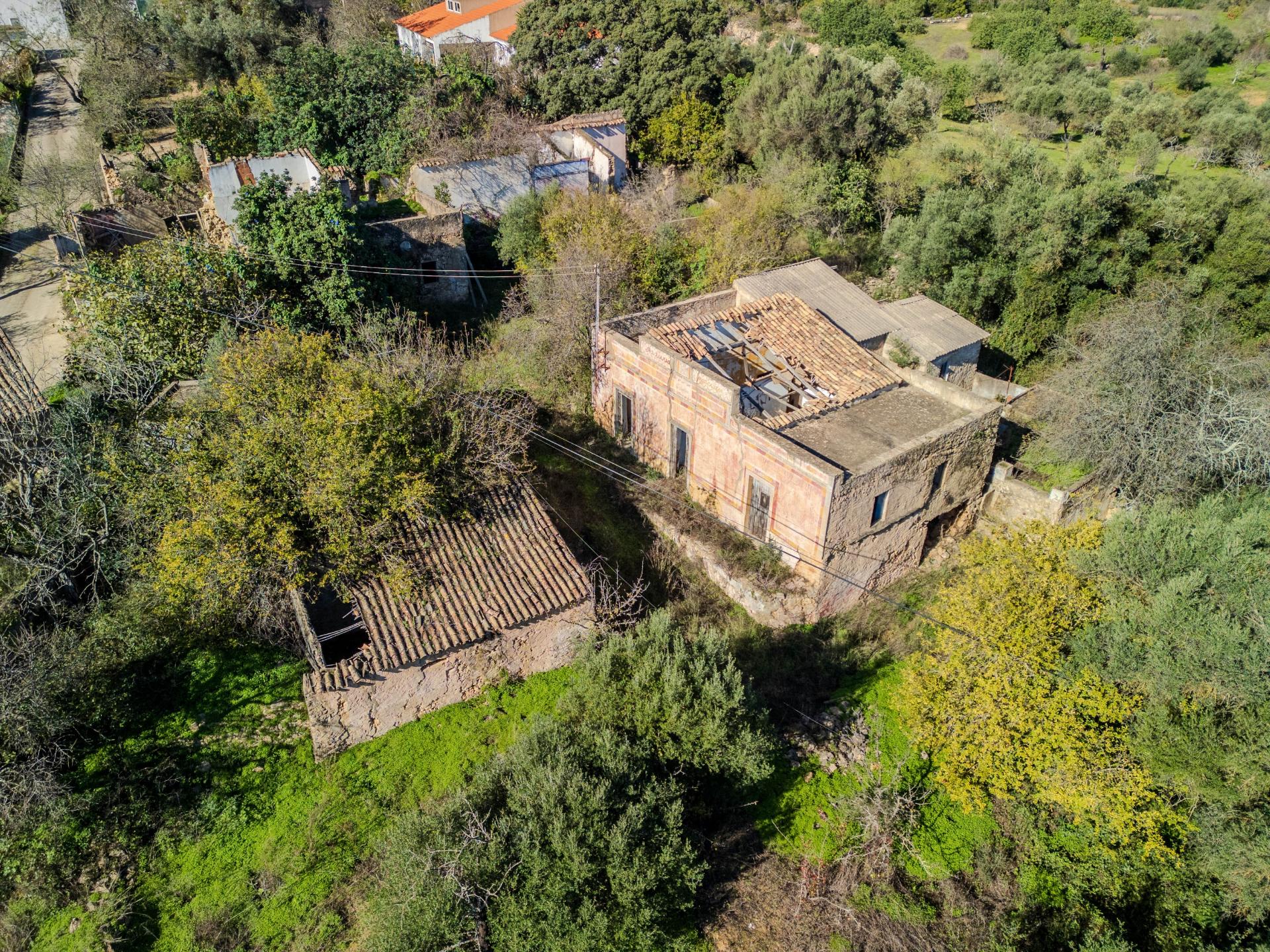 Terreno com 3 Ruínas em Propriedade com grande Potencial, Próximo de Boliqueime