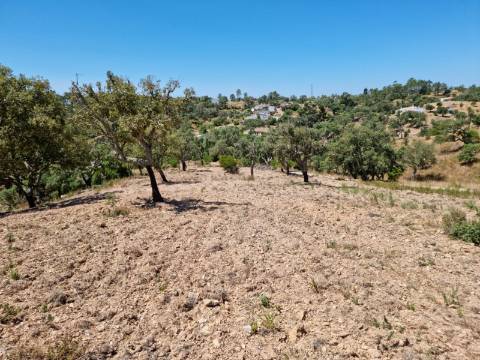 São Brás de Alportel - Moradia T3 em Zona de Campo Tranquila | Chave na Mão