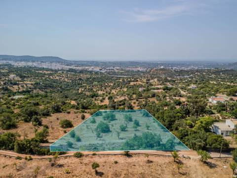 Loulé - Terreno com projeto aprovado e licença de Construção