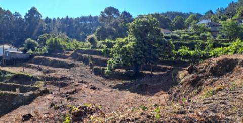 Terreno