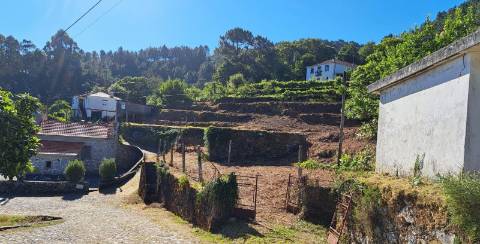 Terreno