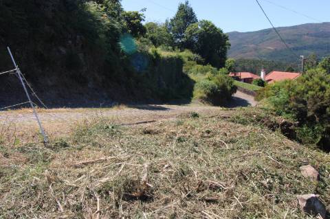 Terreno