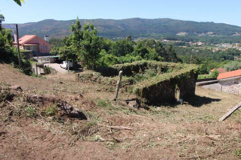 Terreno