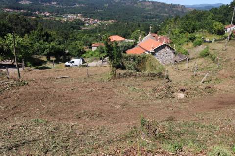 Terreno