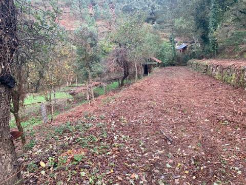 Terreno