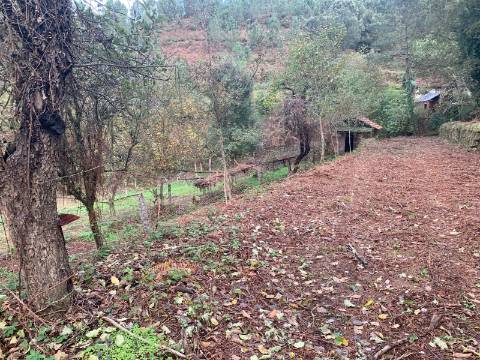 Terreno