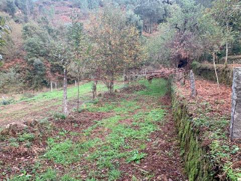 Terreno