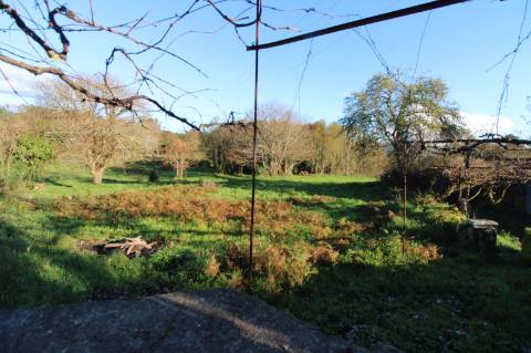 Moradia