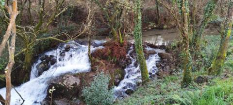 Moradia
