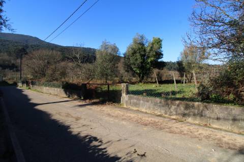 Terreno