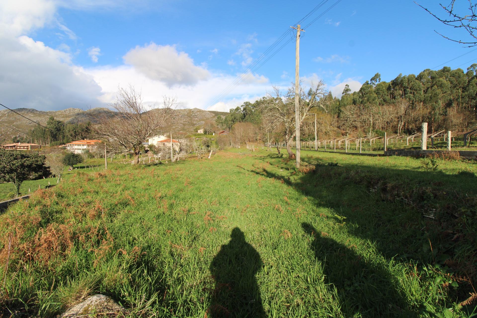 Terreno
