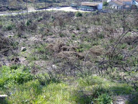 Terreno