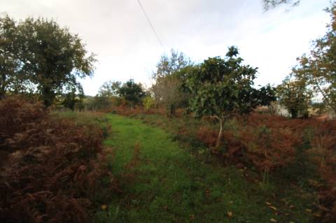 Terreno