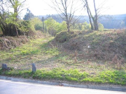 terreno