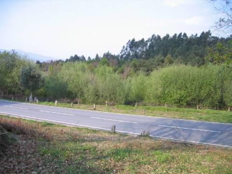 terreno