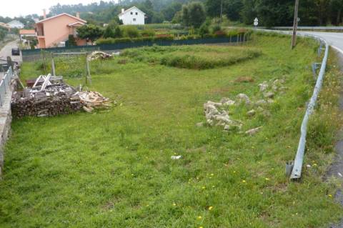 Terreno