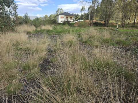 Terreno