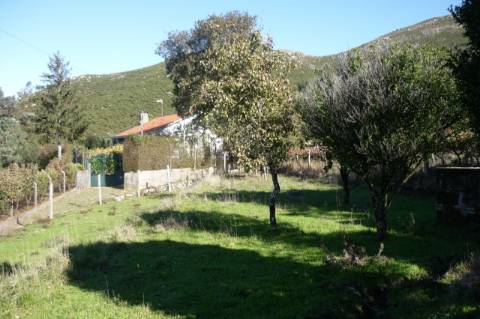 TERRENO