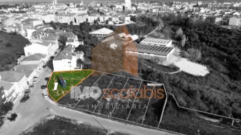 Monte Cravo - Terreno de 2.000m² para Construção de Moradias de Luxo em Santarém