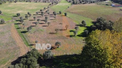 Terreno Situado na Azoia de Baixo