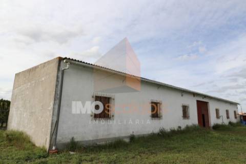 Quinta em Almeirim