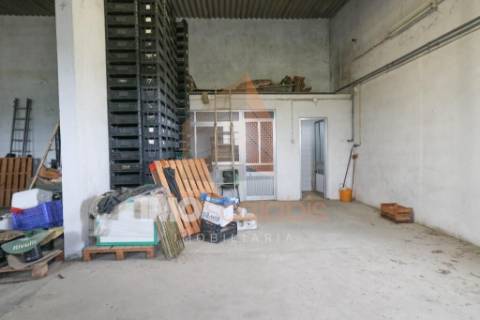 Quinta em Almeirim