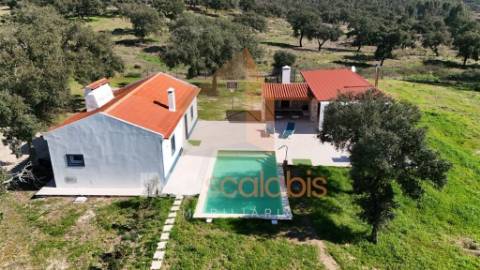 Herdade em Almeirim com 139 Hectares | Propriedade Agroflorestal no Ribatejo