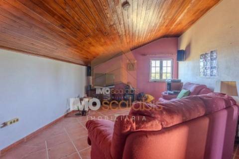 Moradia T4 com terreno rústico em Alforzemel – Almoster, Santarém